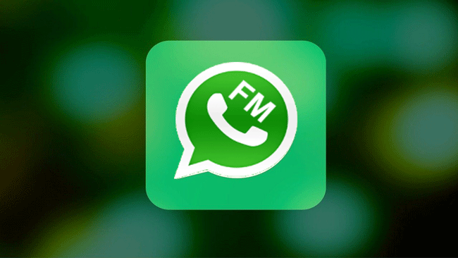 Apa itu FM WhatsApp Pro Apk?